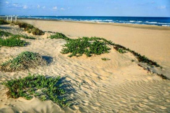 Residencial Puerta Del Mar Apartment Canet d'En Berenguer Ngoại thất bức ảnh